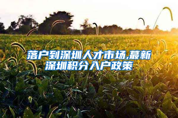 落户到深圳人才市场,蕞新深圳积分入户政策