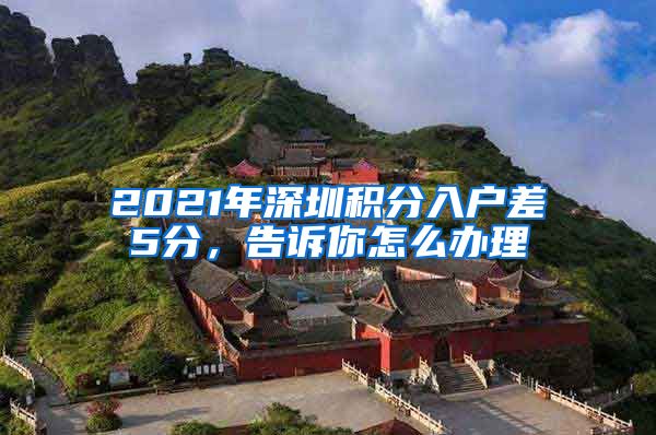 2021年深圳积分入户差5分，告诉你怎么办理