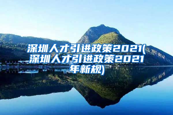 深圳人才引进政策2021(深圳人才引进政策2021年新规)