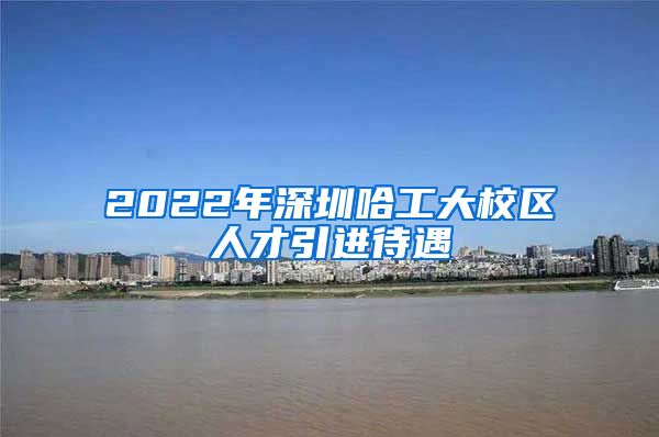 2022年深圳哈工大校区人才引进待遇