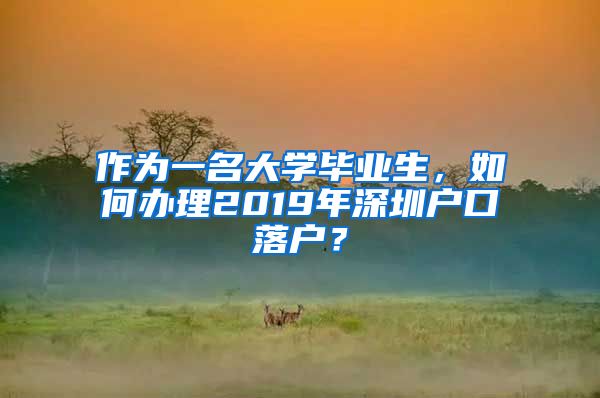 作为一名大学毕业生，如何办理2019年深圳户口落户？