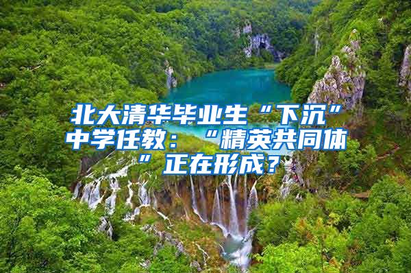 北大清华毕业生“下沉”中学任教：“精英共同体”正在形成？