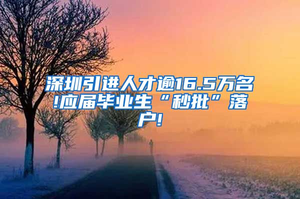 深圳引进人才逾16.5万名!应届毕业生“秒批”落户!