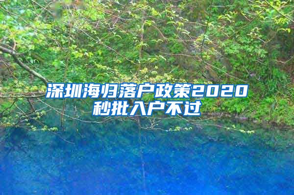 深圳海归落户政策2020秒批入户不过