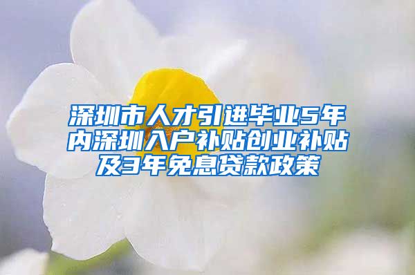 深圳市人才引进毕业5年内深圳入户补贴创业补贴及3年免息贷款政策