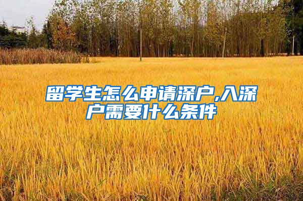 留学生怎么申请深户,入深户需要什么条件