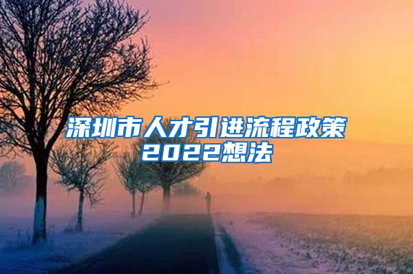 深圳市人才引进流程政策2022想法