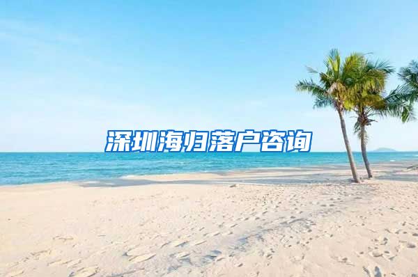 深圳海归落户咨询