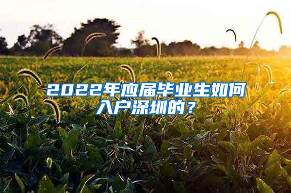 2022年应届毕业生如何入户深圳的？