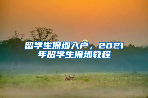 留学生深圳入户，2021年留学生深圳教程