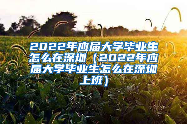 2022年应届大学毕业生怎么在深圳（2022年应届大学毕业生怎么在深圳上班）