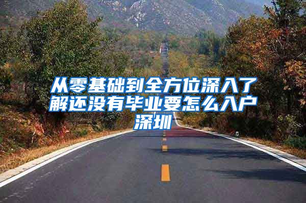 从零基础到全方位深入了解还没有毕业要怎么入户深圳