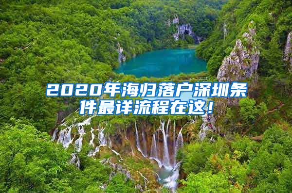 2020年海归落户深圳条件最详流程在这！