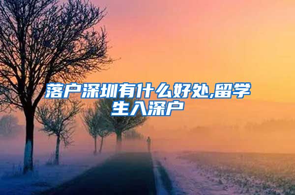 落户深圳有什么好处,留学生入深户