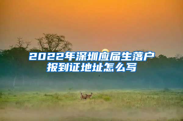 2022年深圳应届生落户报到证地址怎么写