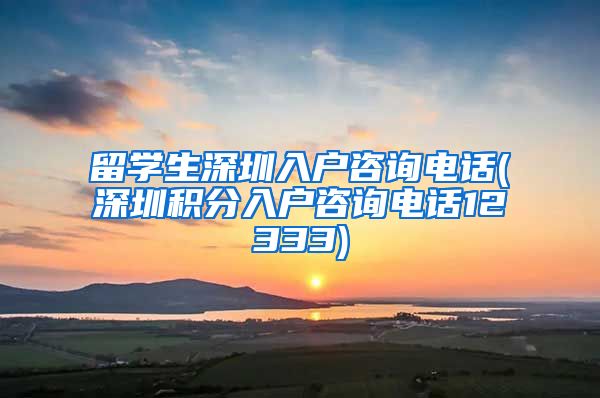 留学生深圳入户咨询电话(深圳积分入户咨询电话12333)