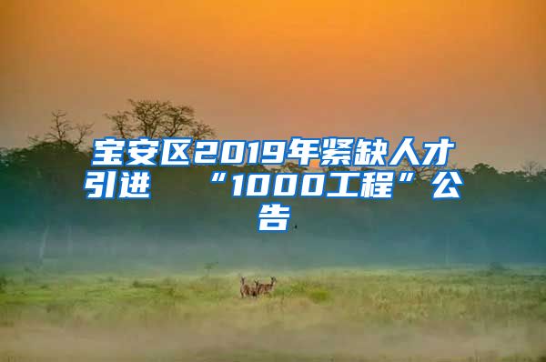 宝安区2019年紧缺人才引进  “1000工程”公告