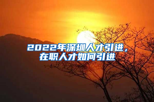 2022年深圳人才引进，在职人才如何引进