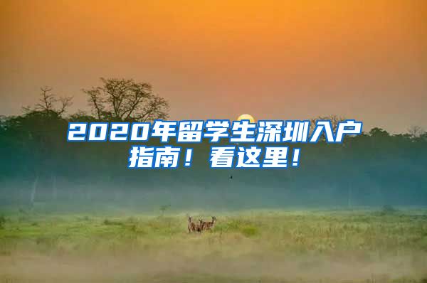 2020年留学生深圳入户指南！看这里！