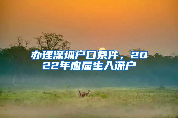 办理深圳户口条件，2022年应届生入深户