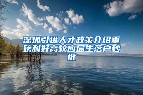 深圳引进人才政策介绍重磅利好高校应届生落户秒批