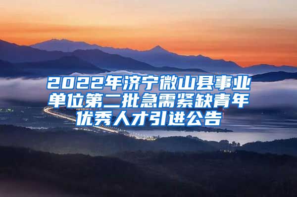 2022年济宁微山县事业单位第二批急需紧缺青年优秀人才引进公告