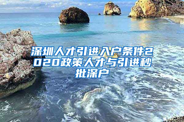 深圳人才引进入户条件2020政策人才与引进秒批深户