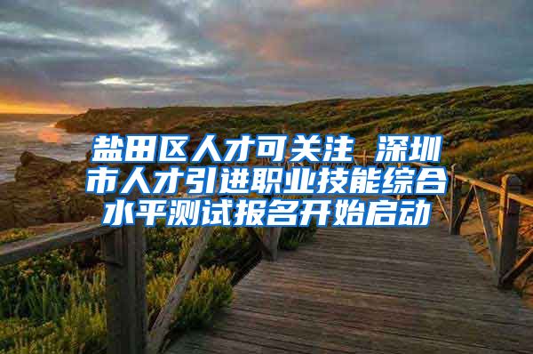 盐田区人才可关注 深圳市人才引进职业技能综合水平测试报名开始启动