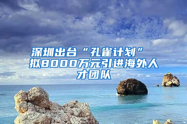 深圳出台“孔雀计划” 拟8000万元引进海外人才团队