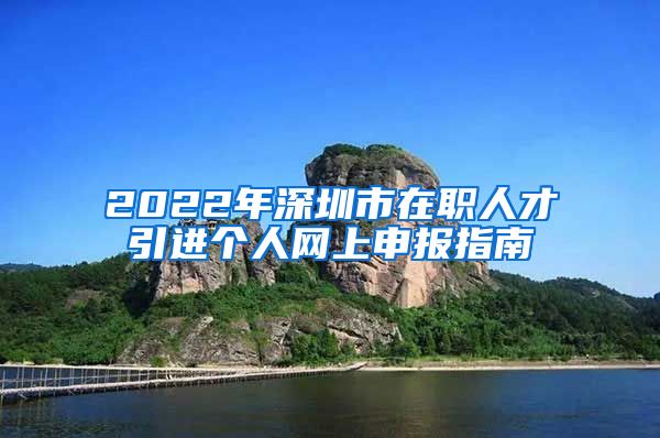 2022年深圳市在职人才引进个人网上申报指南