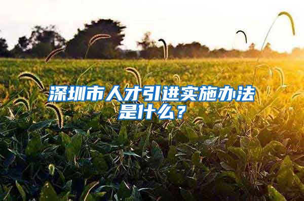 深圳市人才引进实施办法是什么？