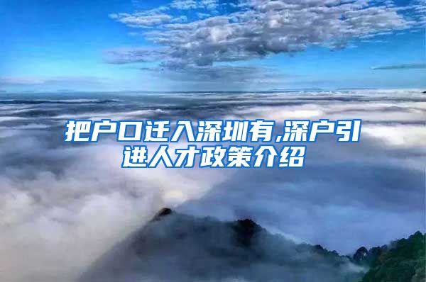 把户口迁入深圳有,深户引进人才政策介绍