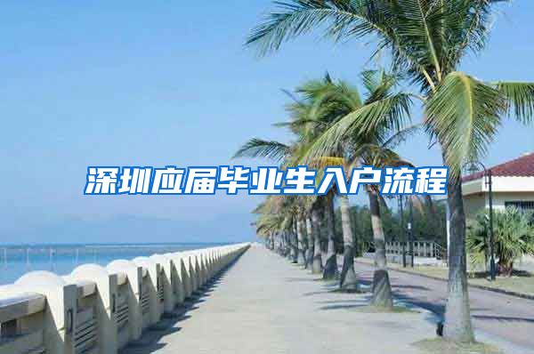 深圳应届毕业生入户流程