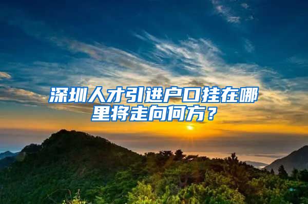 深圳人才引进户口挂在哪里将走向何方？