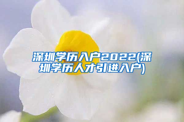 深圳学历入户2022(深圳学历人才引进入户)