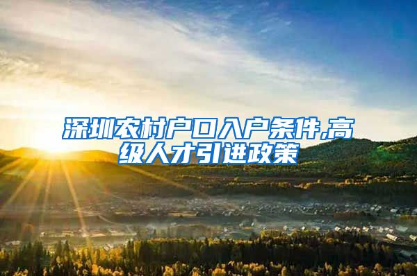 深圳农村户口入户条件,高级人才引进政策