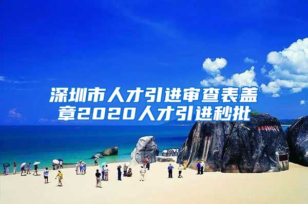 深圳市人才引进审查表盖章2020人才引进秒批