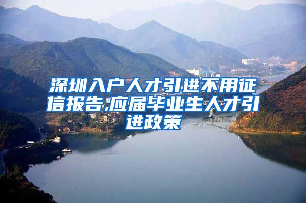 深圳入户人才引进不用征信报告,应届毕业生人才引进政策