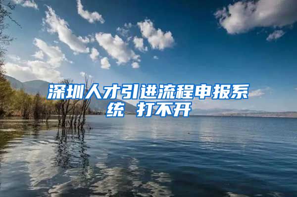 深圳人才引进流程申报系统 打不开