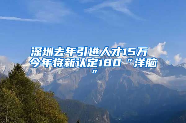 深圳去年引进人才15万 今年将新认定180“洋脑”