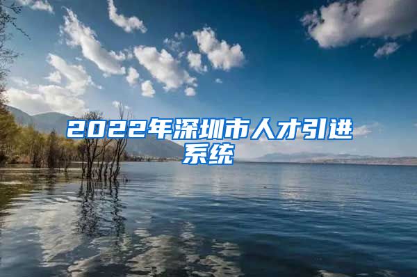 2022年深圳市人才引进系统