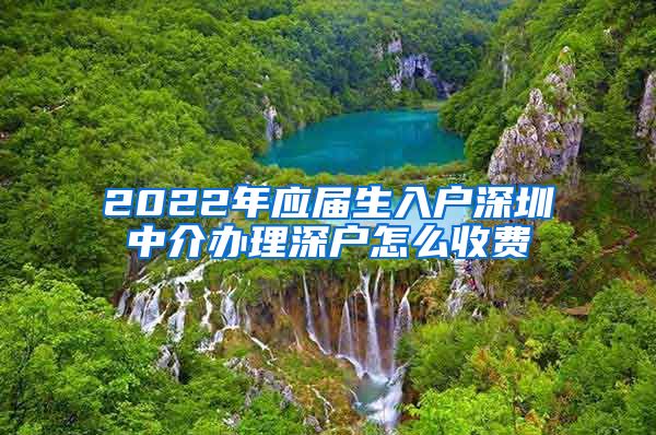 2022年应届生入户深圳中介办理深户怎么收费