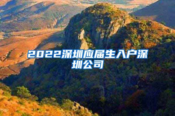 2022深圳应届生入户深圳公司