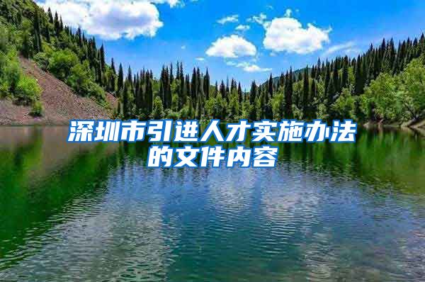 深圳市引进人才实施办法的文件内容