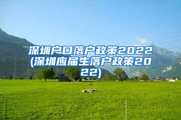 深圳户口落户政策2022(深圳应届生落户政策2022)