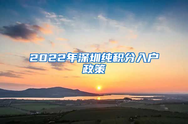 2022年深圳纯积分入户政策