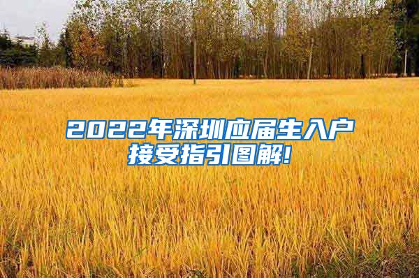 2022年深圳应届生入户接受指引图解!