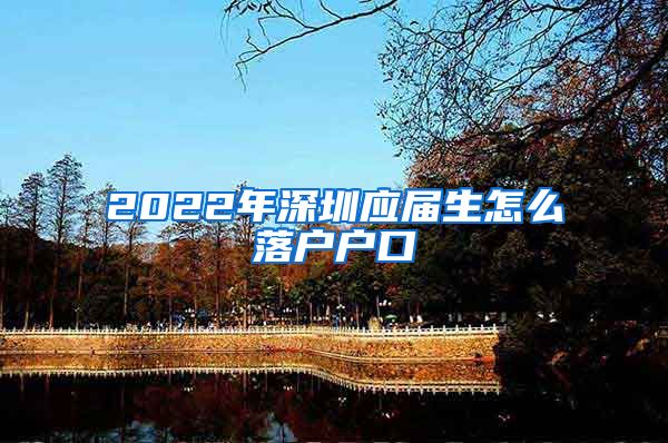 2022年深圳应届生怎么落户户口