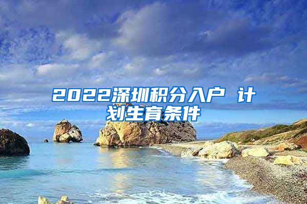 2022深圳积分入户 计划生育条件