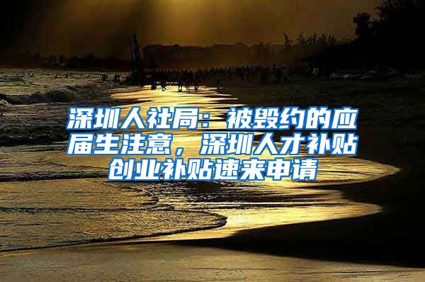 深圳人社局：被毁约的应届生注意，深圳人才补贴创业补贴速来申请